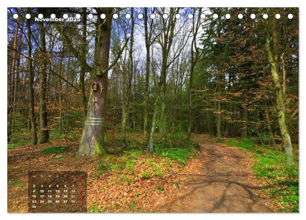 Produktbild: Zauberhafte Waldlandschaften (Tischkalender 2026 DIN A5 quer), CALVENDO Monatskalender