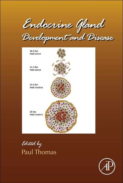 Produktbild: Endocrine Gland Development and Disease