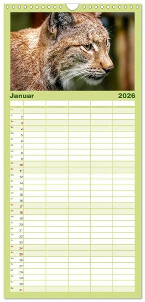 Produktbild: Familienplaner 2026 - Der Luchs - Begegnungen mit einer Raubkatze mit 5 Spalten (Wandkalender, 21 x 45 cm) CALVENDO