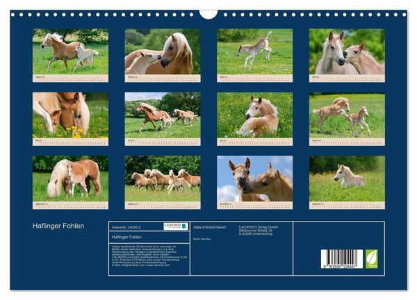 Produktbild: Haflinger Fohlen (Wandkalender 2027 DIN A3 quer), CALVENDO Monatskalender