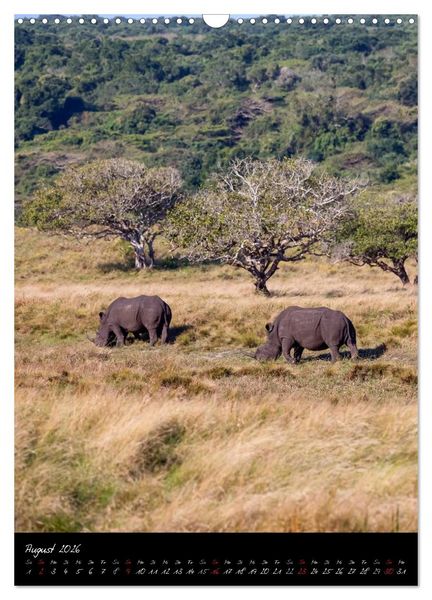 Produktbild: S&uuml;dafrika - Sehenswerte Panorama Route (Wandkalender 2026 DIN A3 hoch), CALVENDO Monatskalender