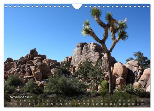 Produktbild: Der S&uuml;dwesten der USA (Wandkalender 2026 DIN A4 quer), CALVENDO Monatskalender