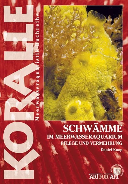 Produktbild: Schw&auml;mme im Meerwasseraquarium
