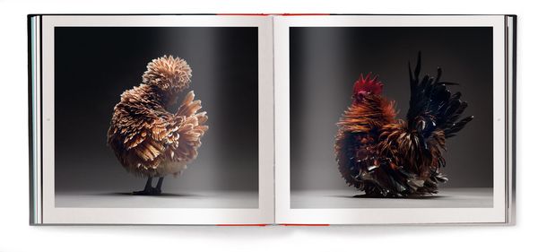 Produktbild: Chicken