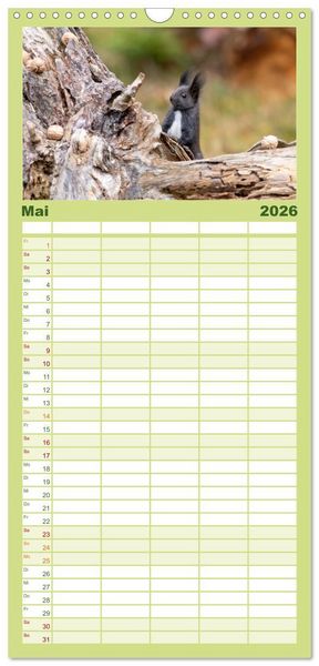 Produktbild: Familienplaner 2026 - Eichh&ouml;rnchenliebe mit 5 Spalten (Wandkalender, 21 x 45 cm) CALVENDO