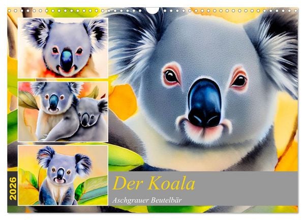Produktbild: Der Koala 2026. Aschgrauer Beutelb&auml;r (Wandkalender 2026 DIN A3 quer), CALVENDO Monatskalender
