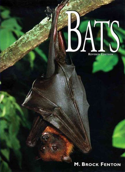 Produktbild: Bats