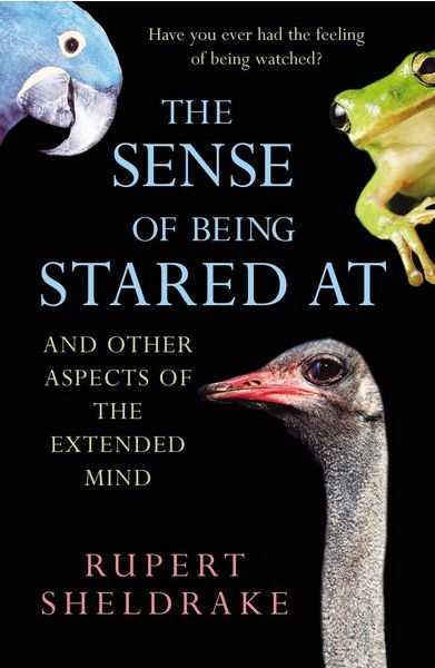 Produktbild: The Sense Of Being Stared At