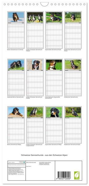 Produktbild: Familienplaner 2026 - Schweizer Sennenhunde - aus den Schweizer Alpen mit 5 Spalten (Wandkalender, 21 x 45 cm) CALVENDO