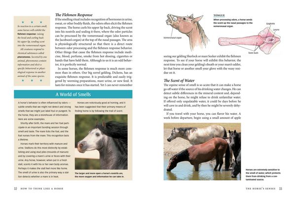 Produktbild: How to Think Like a Horse