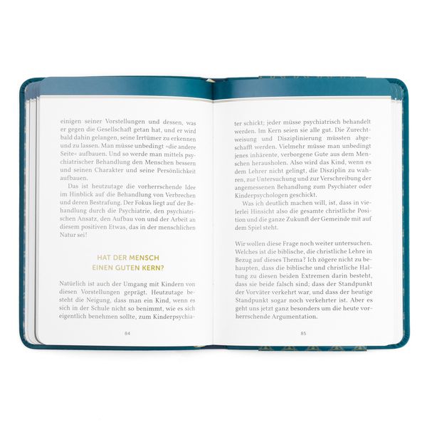 Produktbild: Biblische Erziehung