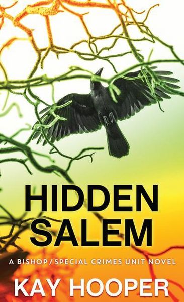 Produktbild: Hidden Salem