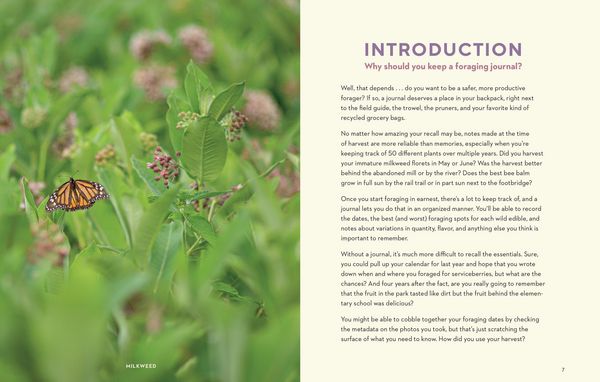 Produktbild: How to Forage for Wild Foods Without Dying Journal