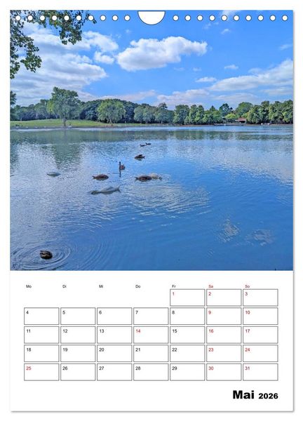 Produktbild: K&ouml;ln und D&uuml;sseldorf - Stadtmomente am Rhein (Wandkalender 2026 DIN A4 hoch), CALVENDO Monatskalender