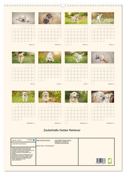 Produktbild: Zauberhafte Golden Retriever (Wandkalender 2026 DIN A2 hoch), CALVENDO Monatskalender