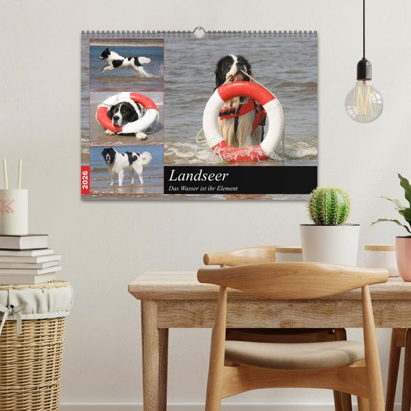 Produktbild: Landseer - Das Wasser ist ihr Element (Wandkalender 2026 DIN A3 quer), CALVENDO Monatskalender