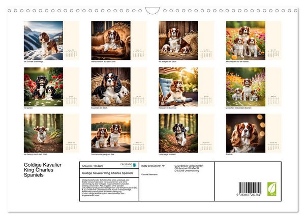 Produktbild: Goldige Kavalier King Charles Spaniels (Wandkalender 2026 DIN A3 quer), CALVENDO Monatskalender