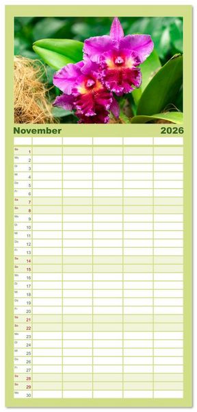 Produktbild: Familienplaner 2026 - Orchidaceae - Orchideen mit 5 Spalten (Wandkalender, 21 x 45 cm) CALVENDO