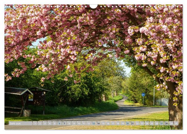 Produktbild: Streifz&uuml;ge durch die Hebelei (Wandkalender 2026 DIN A3 quer), CALVENDO Monatskalender