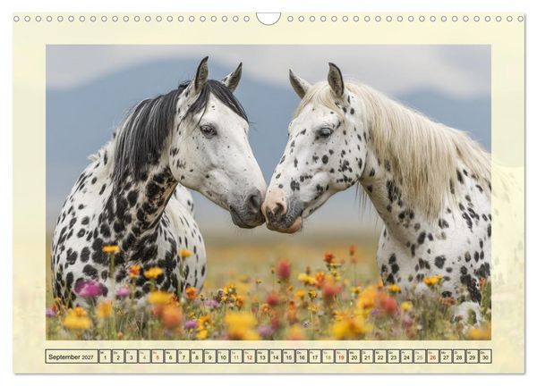 Produktbild: Knabstrupper Poesie. Gescheckte Eleganz im Farmsommer (Wandkalender 2027 DIN A3 quer), CALVENDO Monatskalender