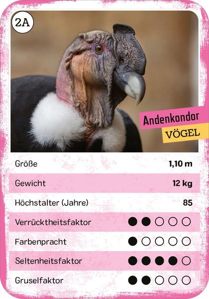 Produktbild: Das verr&uuml;ckte Quartett