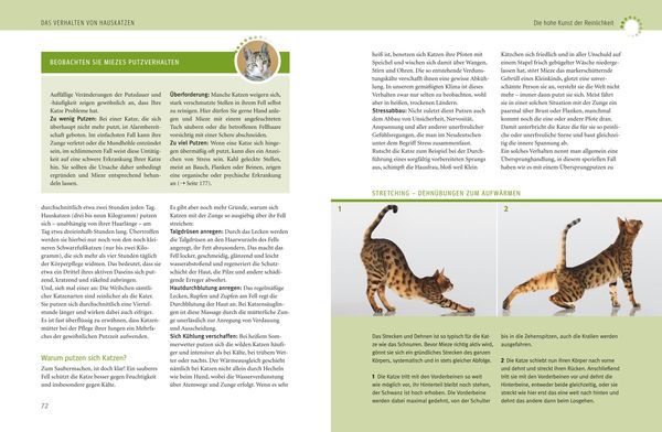 Produktbild: Was Katzen wirklich wollen