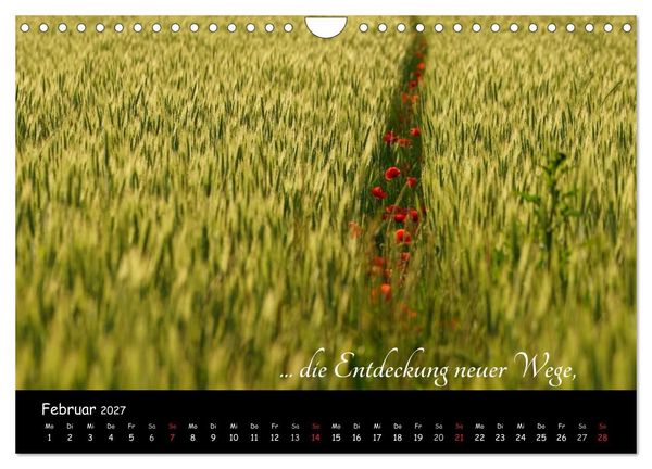 Produktbild: Gut gelaunt durch's Rentenjahr (Wandkalender 2027 DIN A4 quer), CALVENDO Monatskalender