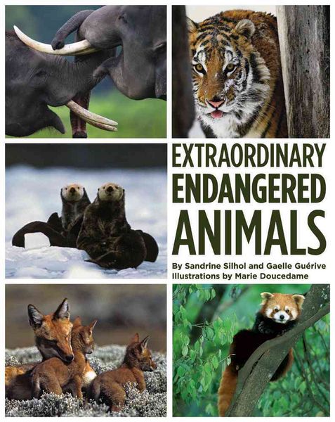 Produktbild: Silhol, S: Extraordinary Endangered Animals