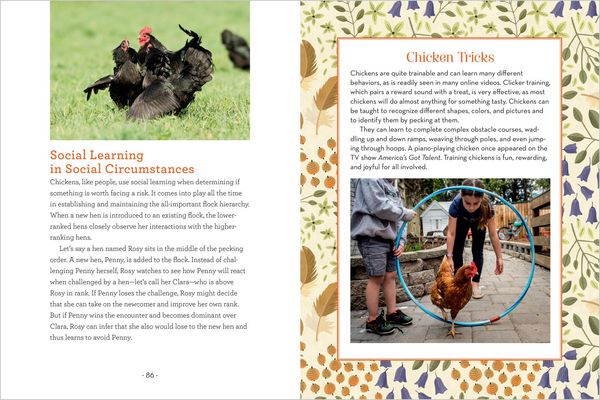 Produktbild: How to Read a Chicken's Mind