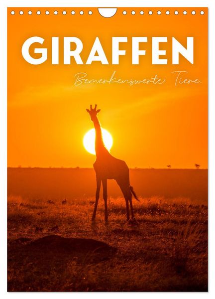 Produktbild: Giraffe - Bemerkenswerte Tiere. (Wandkalender 2026 DIN A4 hoch), CALVENDO Monatskalender
