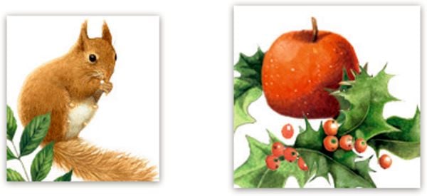 Produktbild: A5-Graspapier-Adventskalender &ndash; Zauber der Winternatur