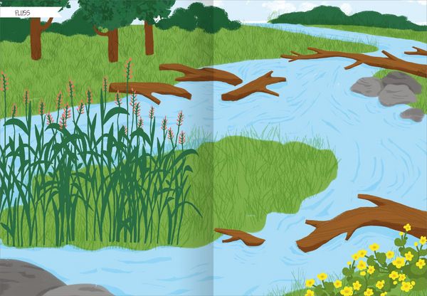 Produktbild: Naturforscher-Kids &ndash; Stickerheft Heimische Tierwelt