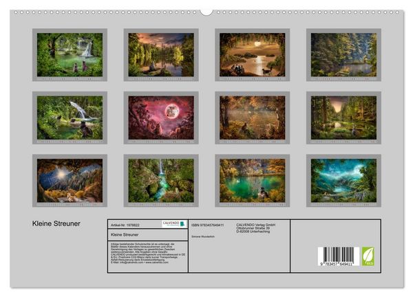 Produktbild: Kleine Streuner (hochwertiger Premium Wandkalender 2026 DIN A2 quer), Kunstdruck in Hochglanz