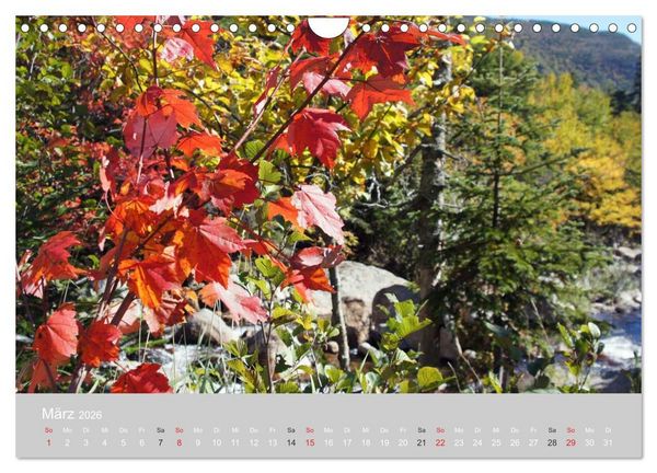Produktbild: Indian Summer in New England (Wandkalender 2026 DIN A4 quer), CALVENDO Monatskalender