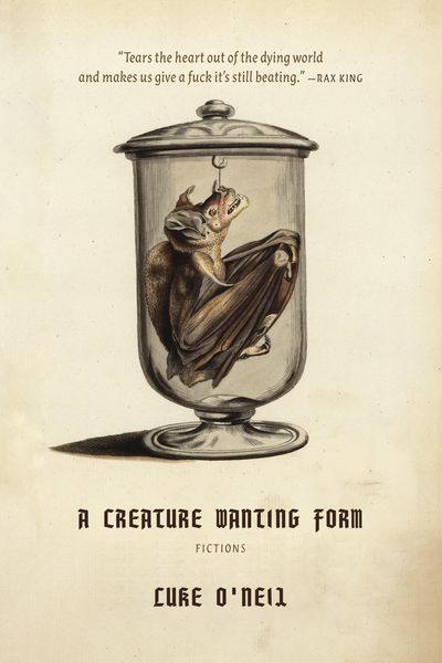 Produktbild: A Creature Wanting Form