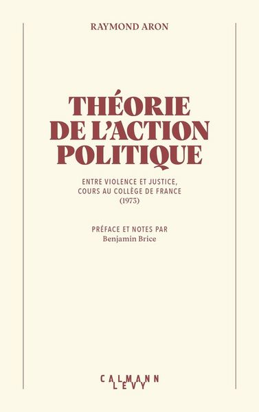 Produktbild: Th&eacute;orie de l'action politique : entre violence et justice
