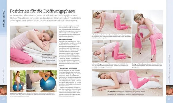 Produktbild: Alles &uuml;ber meine Schwangerschaft Tag f&uuml;r Tag