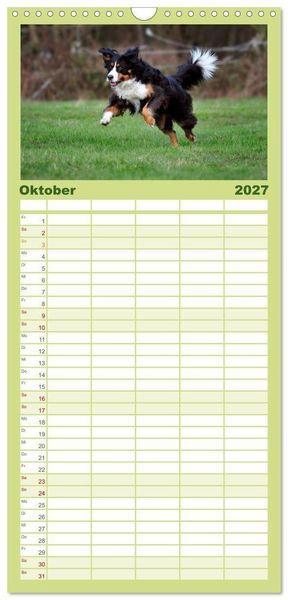 Produktbild: Familienplaner 2027 - Berner Sennenhunde mit 5 Spalten (Wandkalender, 21 x 45 cm) CALVENDO