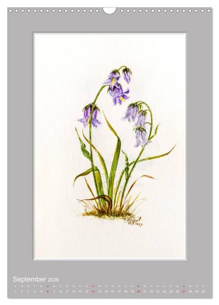 Produktbild: Alpenblumen Aquarelle aus Tirol (Wandkalender 2026 DIN A3 hoch), CALVENDO Monatskalender