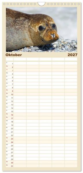 Produktbild: Familienplaner 2027 - Das Leben der Robben mit 5 Spalten (Wandkalender, 21 x 45 cm) CALVENDO