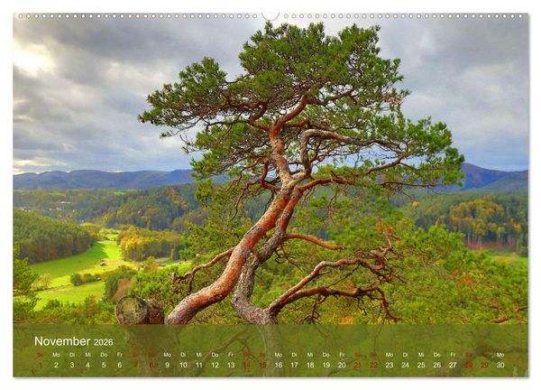 Produktbild: Wanderparadies S&uuml;dpfalz (hochwertiger Premium Wandkalender 2026 DIN A2 quer), Kunstdruck in Hochglanz