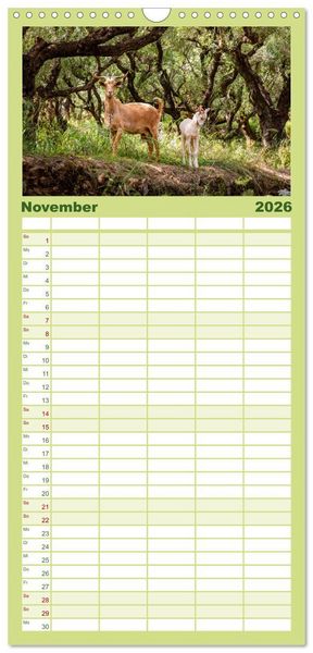 Produktbild: Familienplaner 2026 - Kefalonia Kleine Juwelen im Ionischen Meer mit 5 Spalten (Wandkalender, 21 x 45 cm) CALVENDO