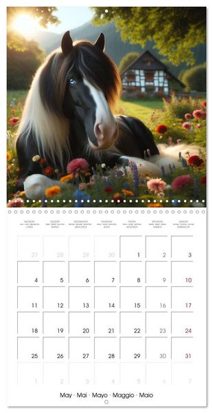 Produktbild: The majestic beauty of Gypsy Vanner (Wall Calendar 2026 12 &times; 12 Inch) CALVENDO 12 Month Wall Calendar