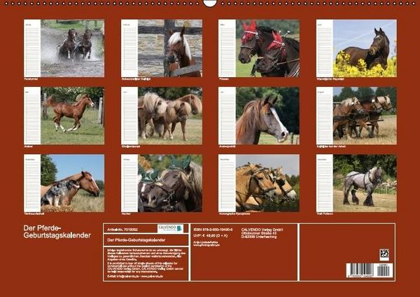 Produktbild: Der Pferde-Geburtstagskalender (Wandkalender immerw&auml;hrend DIN A2 quer)