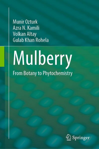 Produktbild: Mulberry