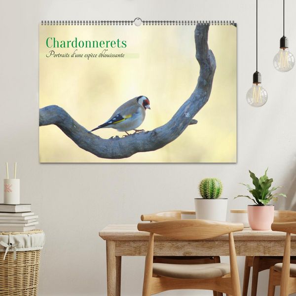 Produktbild: Chardonnerets - Portraits d'une esp&egrave;ce &eacute;blouissante (Calendrier mural 2026 DIN A2 vertical), CALVENDO calendrier mensuel
