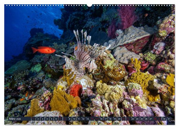 Produktbild: Farbenfrohes Meer (hochwertiger Premium Wandkalender 2026 DIN A2 quer), Kunstdruck in Hochglanz
