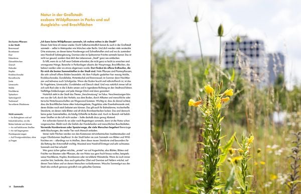 Produktbild: Wildkräuter – Bestimmen, Sammeln, Zubereiten