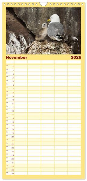 Produktbild: Familienplaner 2026 - Tierbabys 2026 mit 5 Spalten (Wandkalender, 21 x 45 cm) CALVENDO