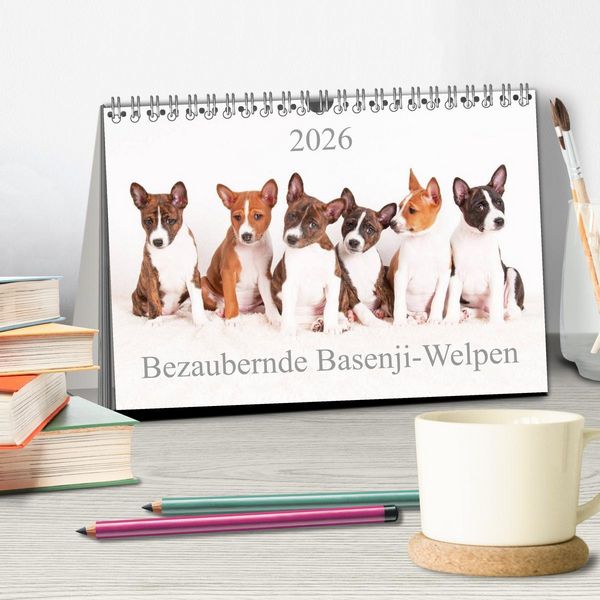 Produktbild: Bezaubernde Basenji-Welpen (Tischkalender 2026 DIN A5 quer), CALVENDO Monatskalender